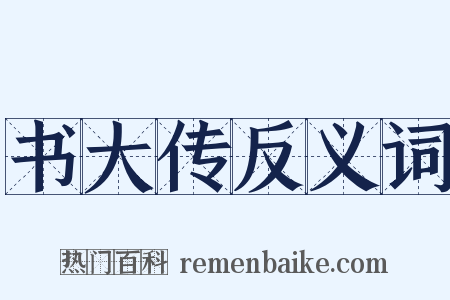书大传反义词是什么意思的图片
